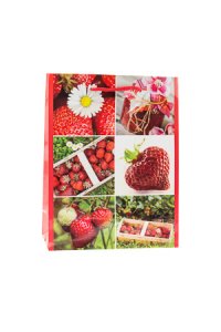 Geschenktüte Erdbeere, 11 x 6 x 13,5 cm