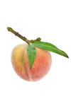 Deko-Frucht Pfirsich