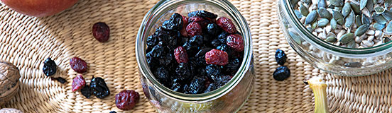 Getrocknete Beeren