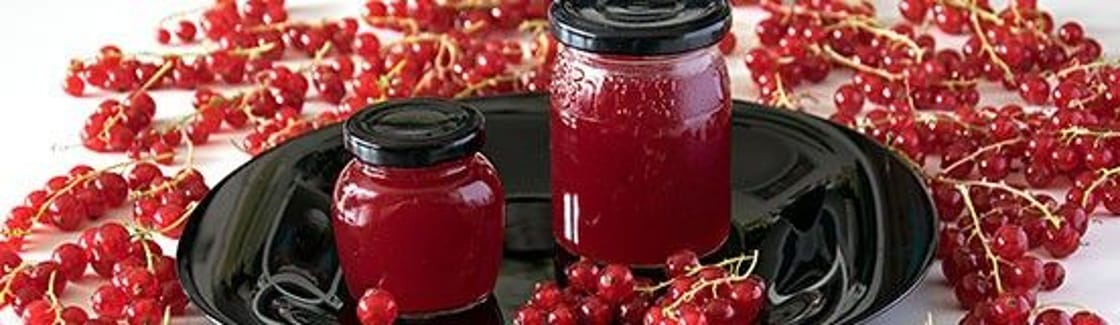 Johannisbeeren verarbeiten
