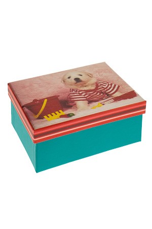 Geschenkbox 'Hündchen Teddy'