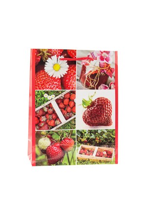 Geschenktüte 'Erdbeere', 11 x 6 x 13,5 cm