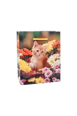Geschenktüte 'Kätzchen im Blumentopf', 11 x 6 x 13,5 cm