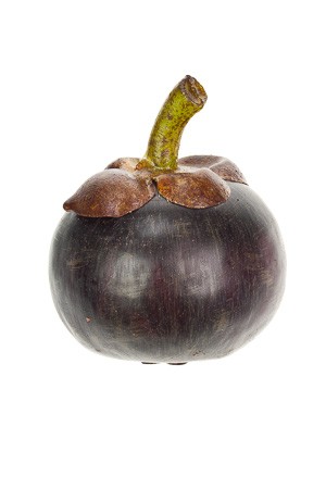 Deko-Frucht 'Mangostane'
