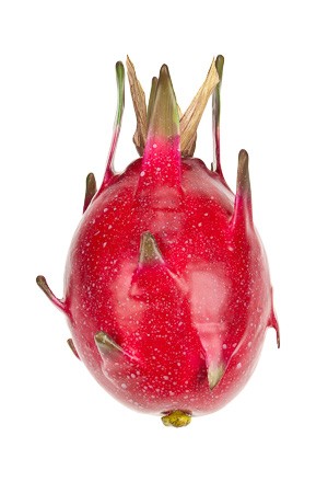 Deko-Frucht 'Drachenfrucht'