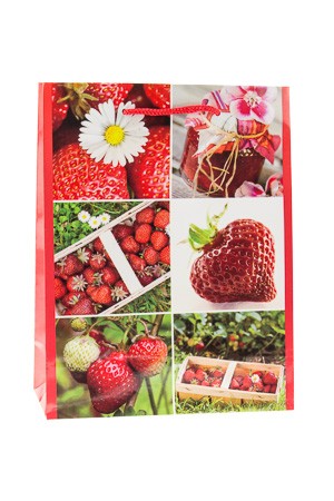 Geschenktasche 'Erdbeere', 18 x 8 x 23 cm