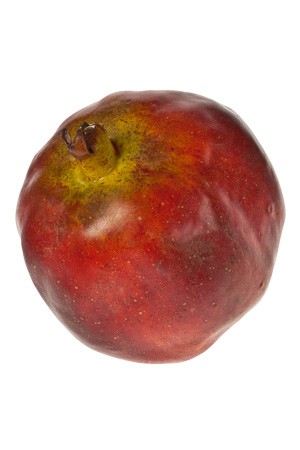 Deko-Frucht 'Granatapfel'