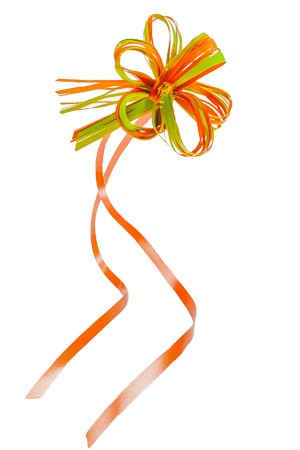 Ziehschleife Faser-Raffia bicolor ca. 80 mm, grün-orange, 50 Stück