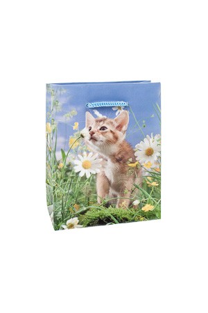 Geschenktüte 'Kätzchen auf der Wiese', 11 x 6 x 13,5 cm