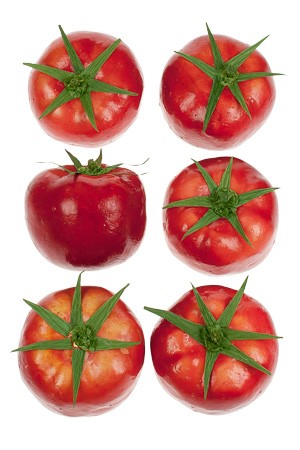 Deko-Gemüse 'Tomaten'- 6er Pack